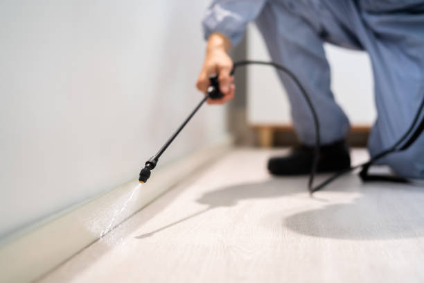 Licensed Mosquito Control service in Franklinton, LA - Show Me Pest Control
