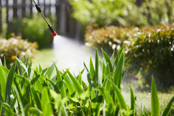 24/7 Emergency Mosquito Control experts in Franklinton, LA